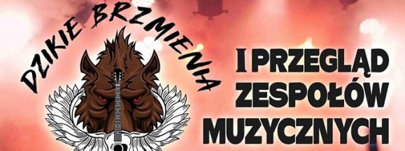 Dzikie Brzemienia w Mieście Dzika  - Zdjęcie główne