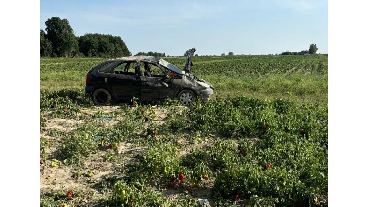 Powiat łęczyński: Samochód dachował w polu. Dwie osoby w ciężkim stanie - Zdjęcie główne