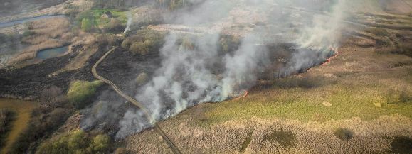 Duży pożar traw w okolicach Milejowa widziany z drona (wideo) - Zdjęcie główne