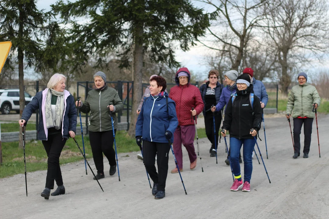 Po świętach seniorzy wybrali się na spacer do lasu, aby spalić zbędne kalorie oraz poszukać zwiastunów wiosny