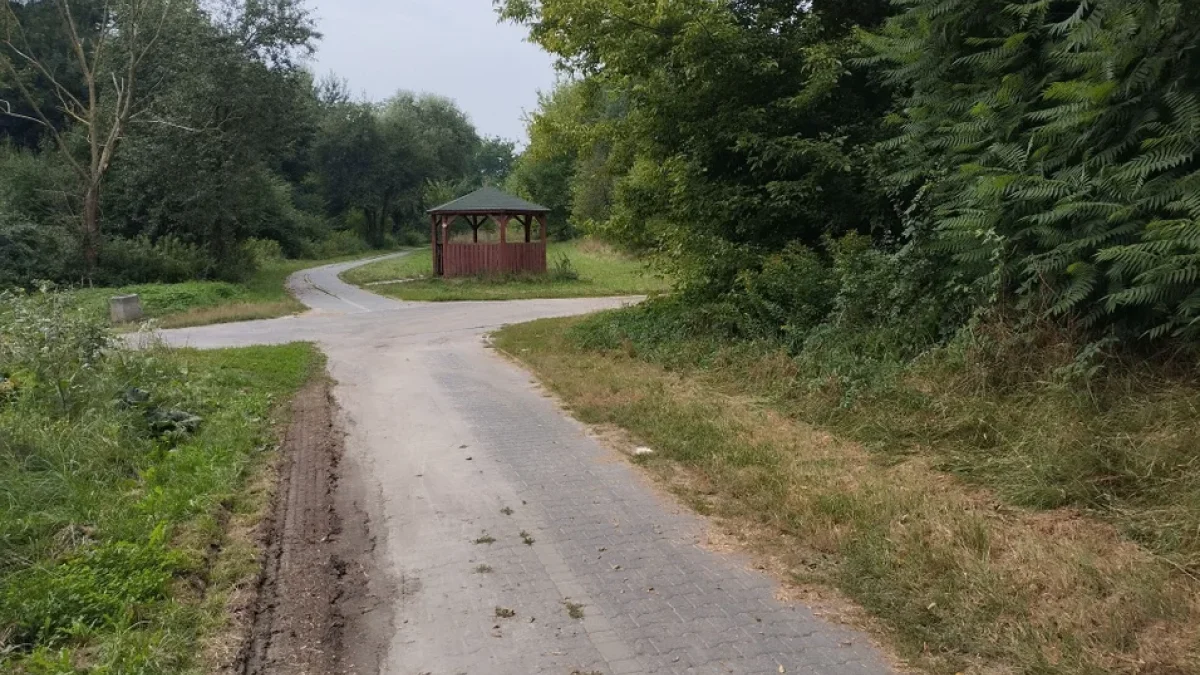 Łęczna: Będzie więcej atrakcji w okolicy Parku Podzamcze. Ścieżka nad Świnką doczeka się remontu - Zdjęcie główne