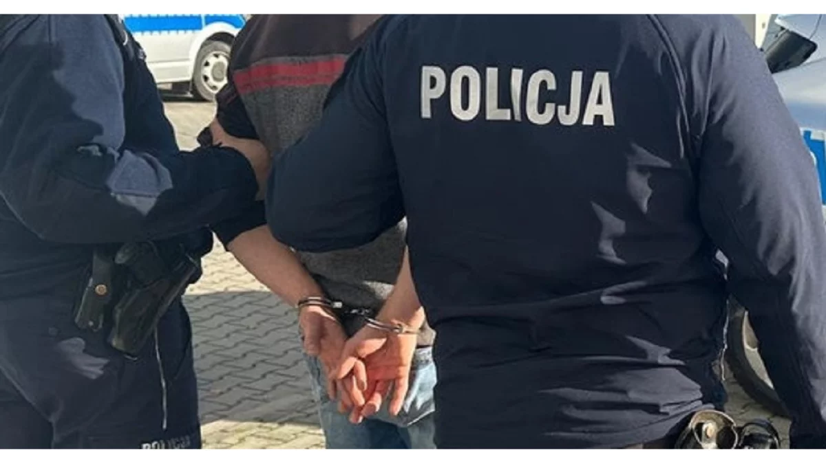 Sąd zdecydował w sprawie aresztu dla myśliwego. "Obawa o nakłanianie do składania fałszywych zeznań" - Zdjęcie główne