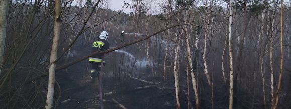 Pożar nad jeziorem Piaseczno. Spłonęły 3 ha lasu  - Zdjęcie główne