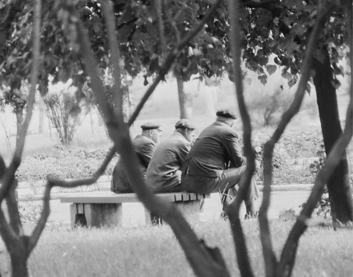 Lata 80. Trzydziestoletnie nasadzenia podrosły. Powstało popularne miejsce spotkań i odpoczynku, ale także wieczornej konsumpcji napojów rozmaitych