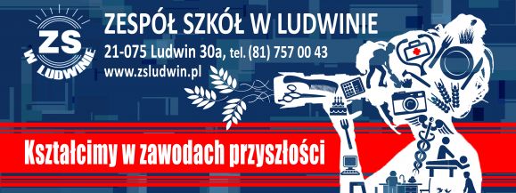 Trwa nabór do Zespołu Szkół w Ludwinie  - Zdjęcie główne
