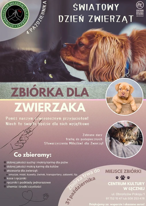 Łęczna: Zbiórka dla zwierzaka - Zdjęcie główne