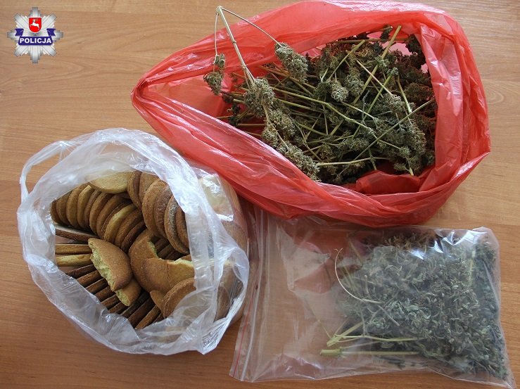1,5 kilograma ciasteczek z marihuaną u 19-latka - Zdjęcie główne
