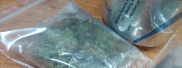 Marihuana w puszce - Zdjęcie główne