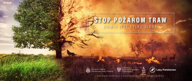 "Stop pożarom traw" - kampania Państwowej Straży Pożarnej - Zdjęcie główne