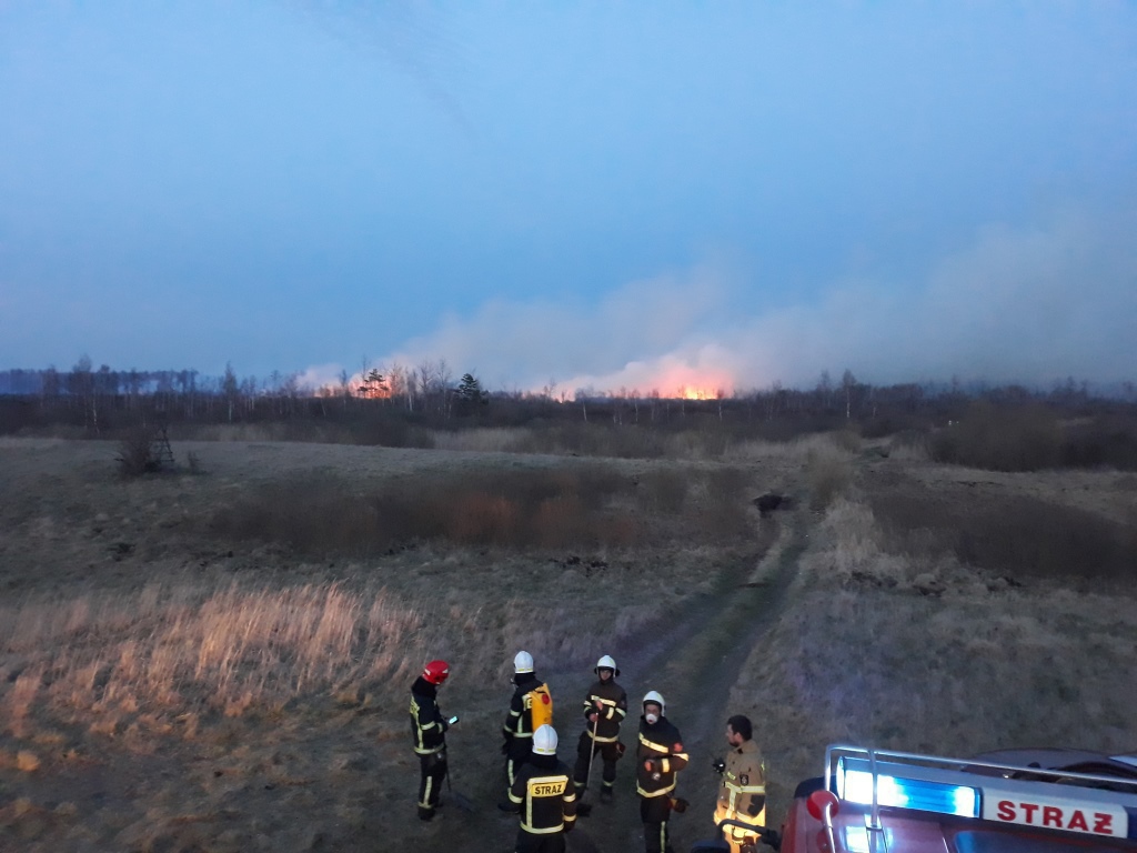 Najgłośniejsze, bulwersujące, tragiczne zdarzenia 2020 r.  - Zdjęcie główne