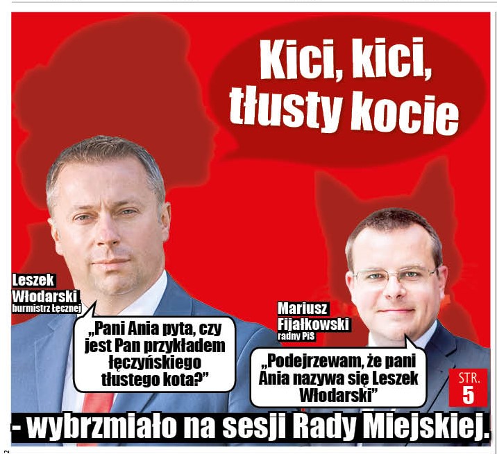 Łęczna: Kici, kici, czy jest tu tłusty kot? - Zdjęcie główne