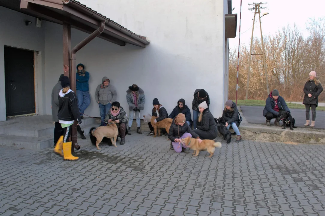 Milejów: Tracą dotychczasowe miejsce na przytulisko. Pomoże gmina - Zdjęcie główne