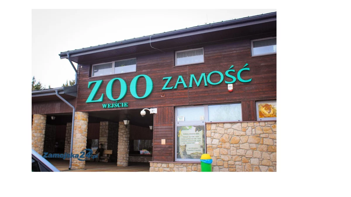 Do ZOO absolutnie bezpłatnie - Zdjęcie główne