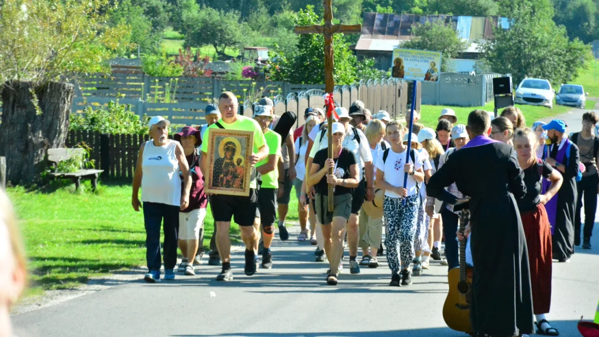 Pielgrzymi idą do Katedry Zamojskiej - Zdjęcie główne