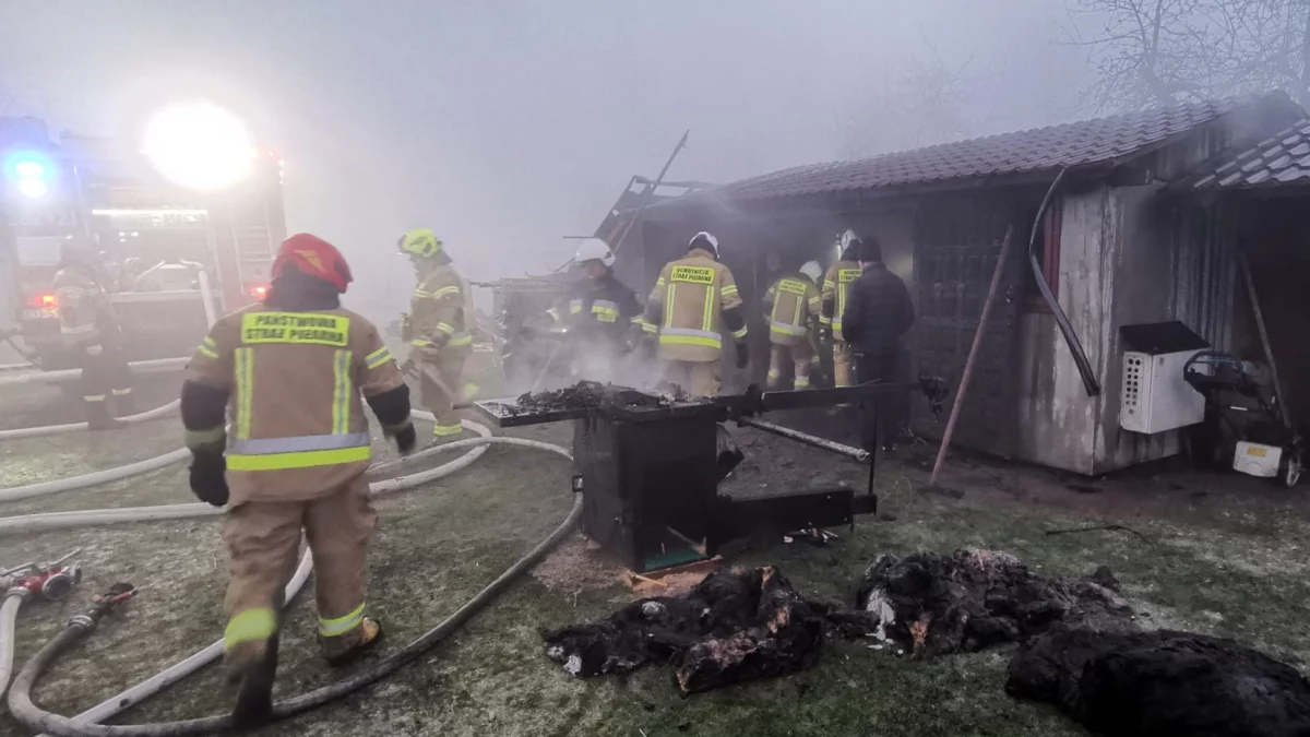 Lawina interwencji w powiecie zamojskim! - Zdjęcie główne