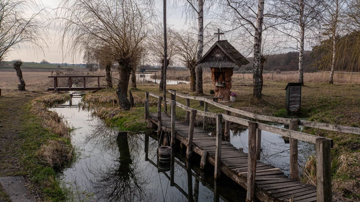 Matka Boska objawiła się w powiecie zamojskim (foto) - Zdjęcie główne