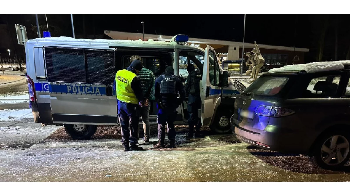 Świadek zapobiegł tragedii w powiecie zamojskim - Zdjęcie główne