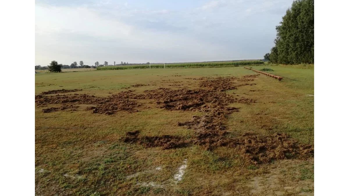 Lokalni urzędnicy wezmą się za boiska? - Zdjęcie główne