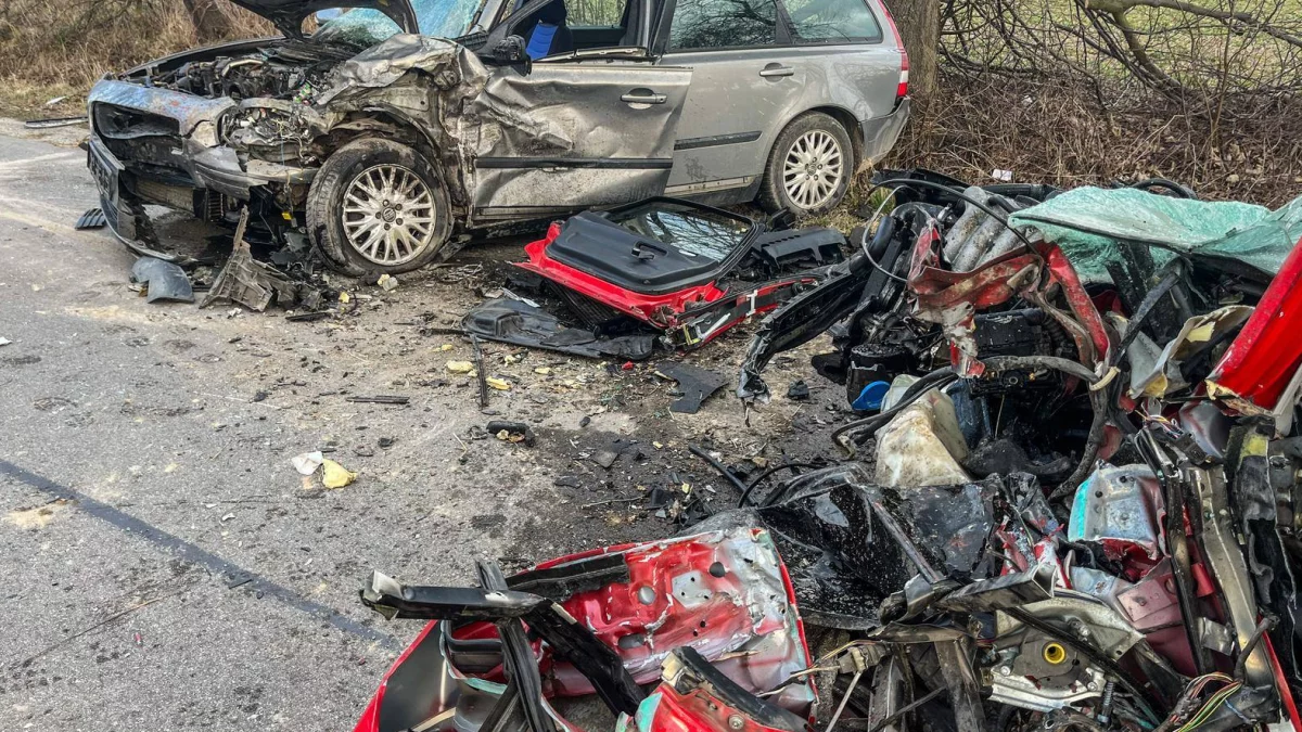 Tragedia w powiecie zamojskim. Nie żyje mężczyzna (foto) - Zdjęcie główne