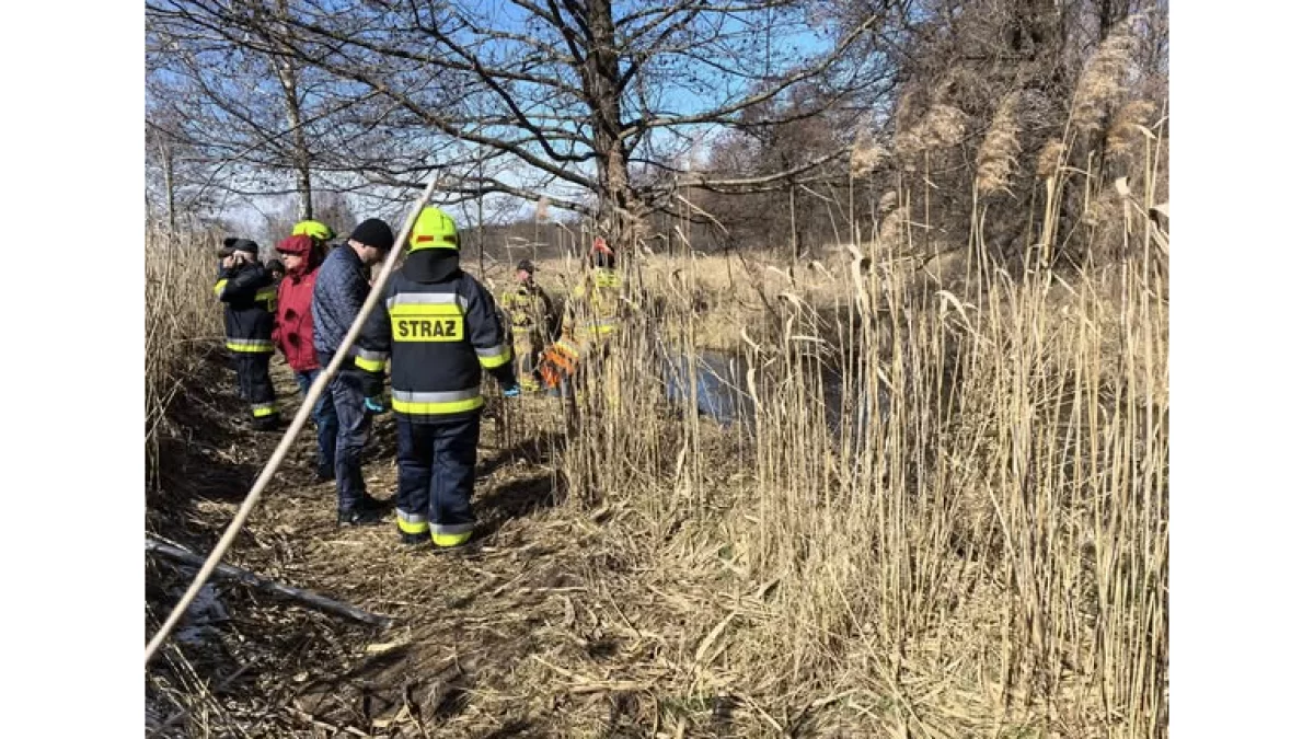 Zwłoki w rzece w powiecie zamojskim. Policja potwierdza - Zdjęcie główne